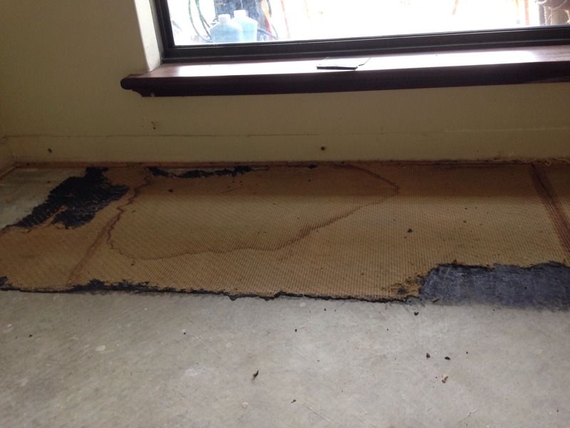 Asbestos Carpet Padding Black Carpet Vidalondon